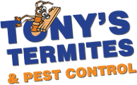 Termite Pest Control Gold Coast